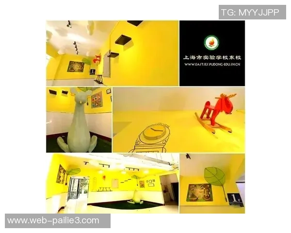 上海排球队防守革新之路探索与实践解析